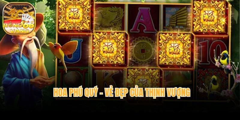Hoa Phú Quý – Vẻ đẹp của thịnh vượng