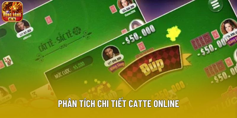Phân tích chi tiết catte online