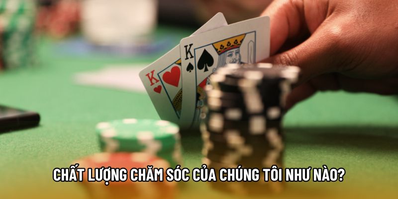 Chất lượng chăm sóc của chúng tôi như nào?