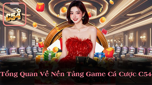 Chính Sách Ưu Đãi Và Hỗ Trợ Người Chơi